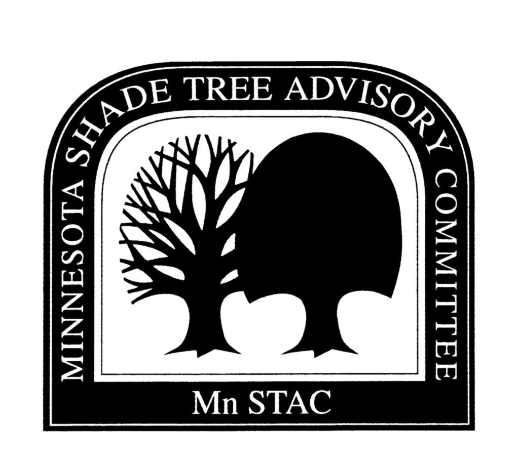 Mn STAC Logo.